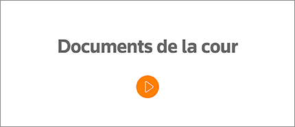 Cette vidéo explique pourquoi les fiscalistes devraient consulter des documents de la Cour lorsqu’ils s’intéressent à un dossier. 