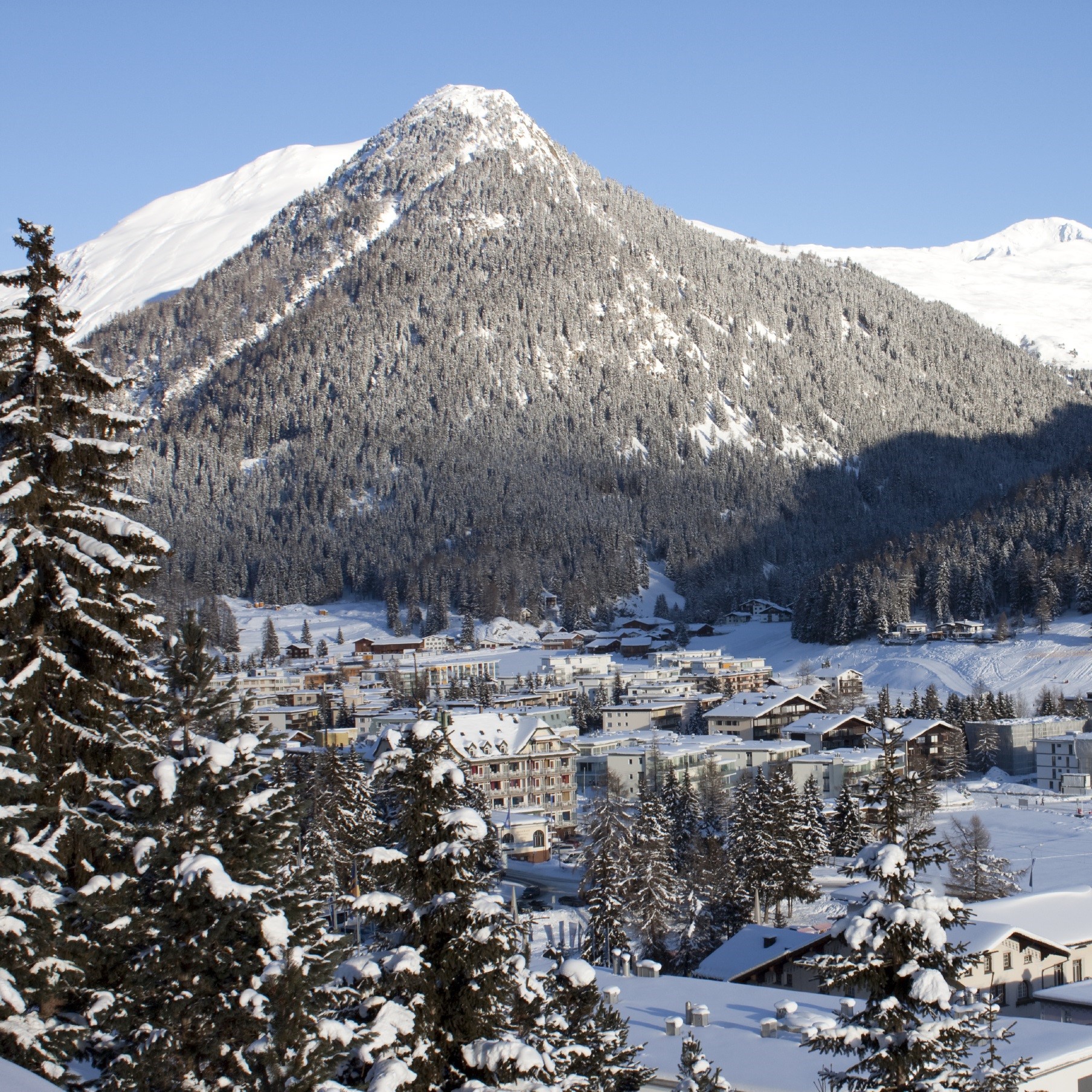 Global Views from the World Economic Forum at Davos, Switzerland